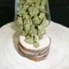 INFUSION MONKEY KUSH 10G